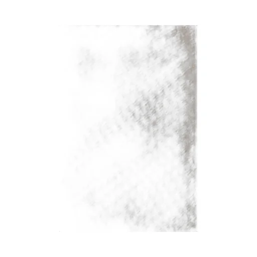 Heavyweight Thermal L/S / Cr