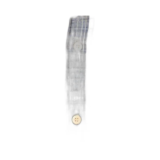 Isabel Marant Checked Long-Sleeved Shirt