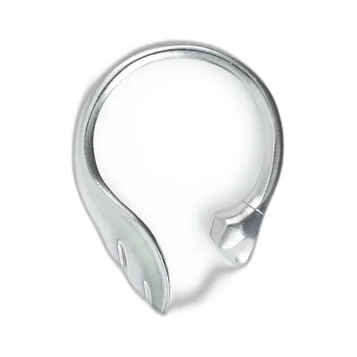 Angel Bone Key Ring / Sil