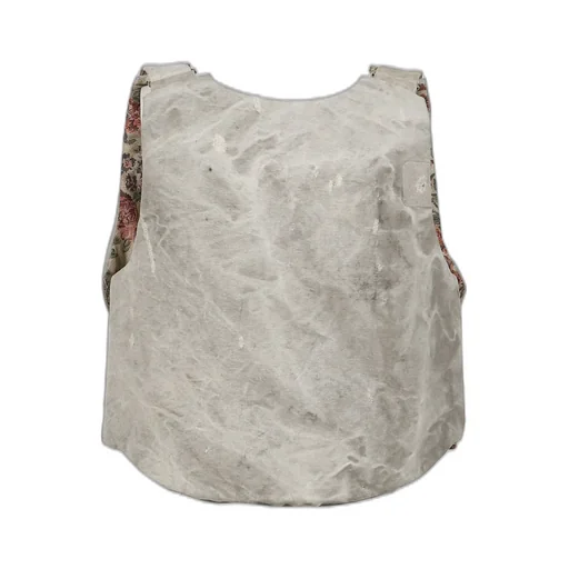 Bulletproof Vest / Mailbag Bei