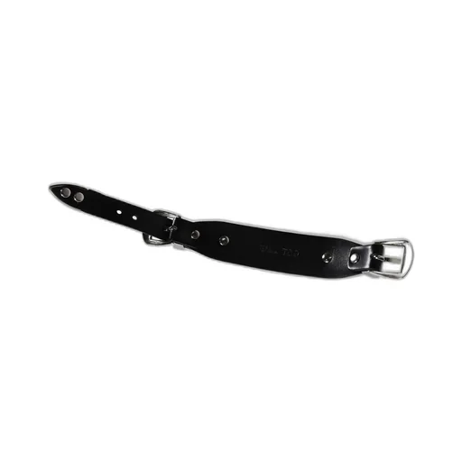 Double Buckle Concho Bangle / Blk
