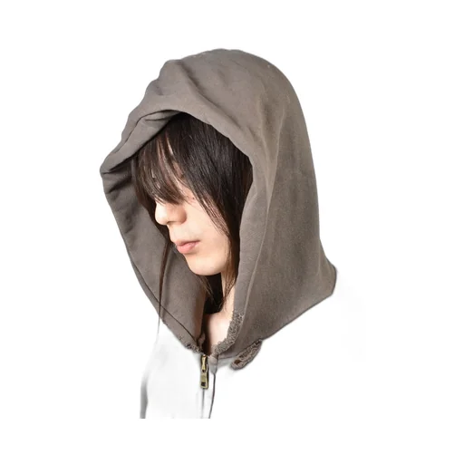 Been Amess Zip Hooded Sweatshirt / Brw