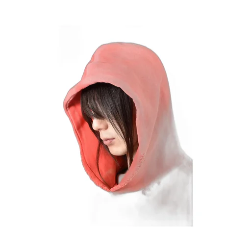 Source Family Hooded Sweatshirt / Red