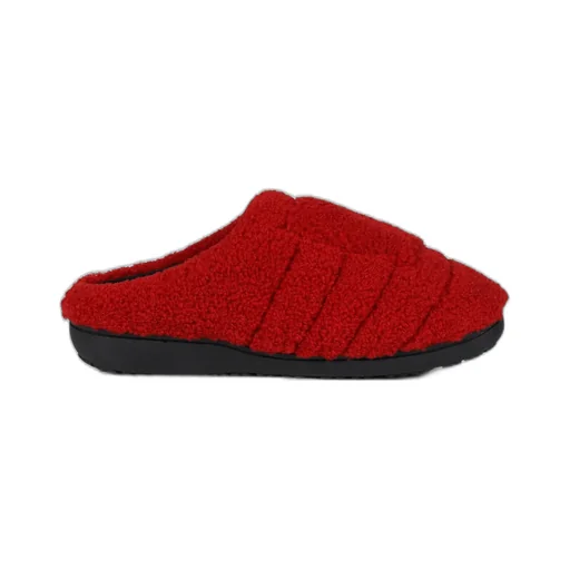 Teddy / Red