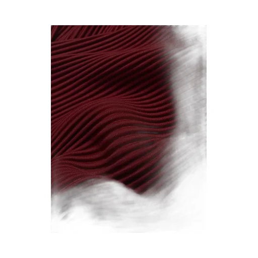 Homme Plissé Issey Miyake Mc September Pleated Pants