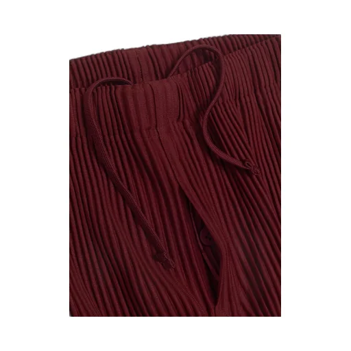 Homme Plissé Issey Miyake Mc September Pleated Pants