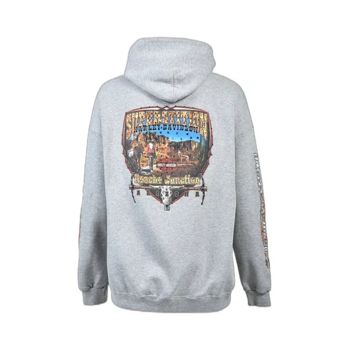 Arizona Zip Hoodie / Gry