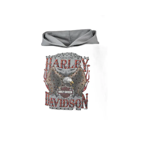Four River Hoodie / Gry