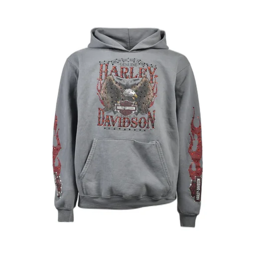 Four River Hoodie / Gry