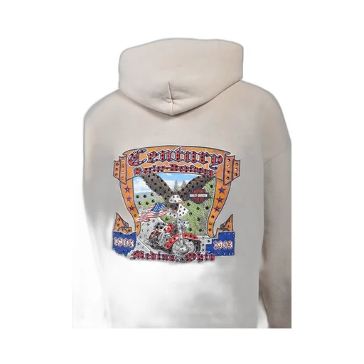 Medina Ohio Hoodie / Bei