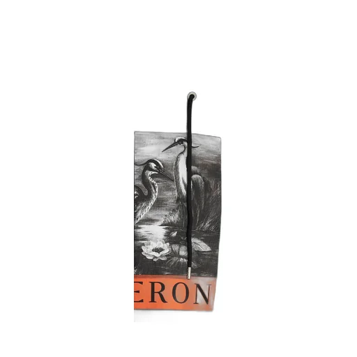 Heron Preston Graphic Printed Drawstring Hoodie