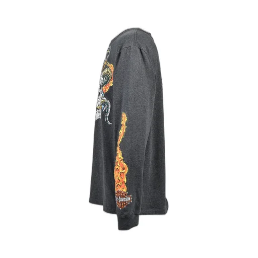 El Paso Texas Ls Tee / Gry