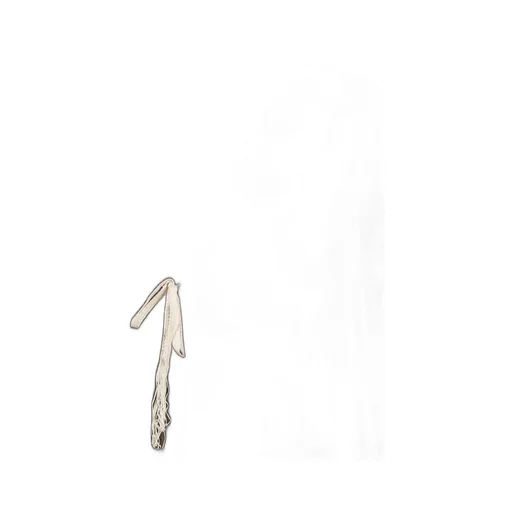 Clot Cord Jkt / Dark Brw