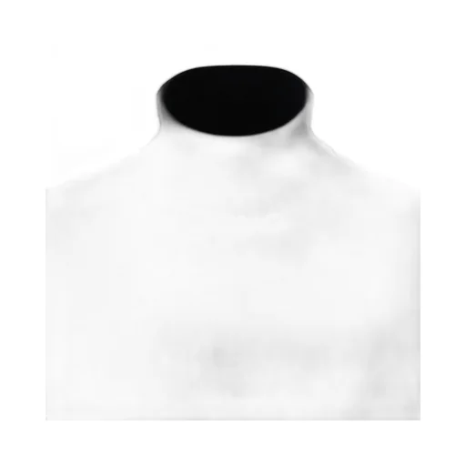Gran Sasso Long Sleeve Turtleneck Jumper