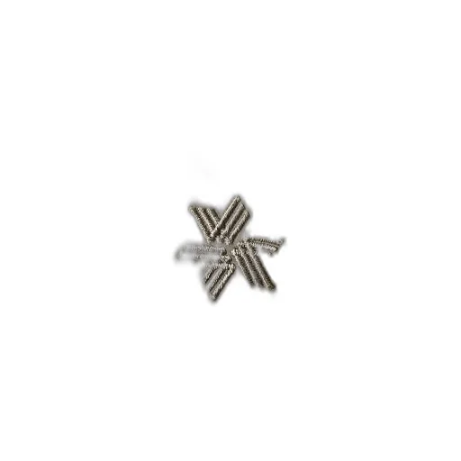 Goldwin Logo Embroidered Layered Jacket