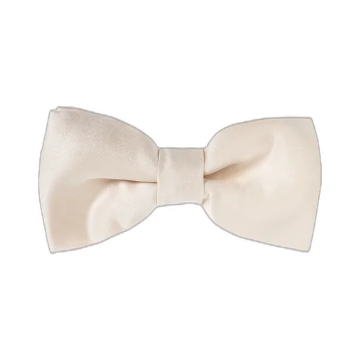 Givenchy Bow Tie