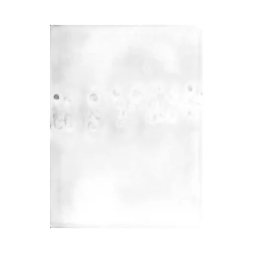 Givenchy Logo Studded Crewneck T-Shirt