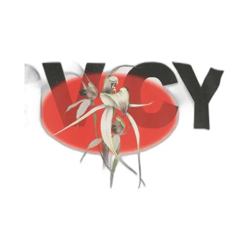 Givenchy Gvcy And Flower Printed Crewneck T-Shirt