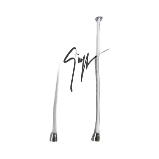 Giuseppe Zanotti Lr-57 Logo Printed Hoodie