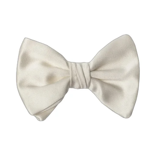 Giorgio Armani Bow Detailed Tie