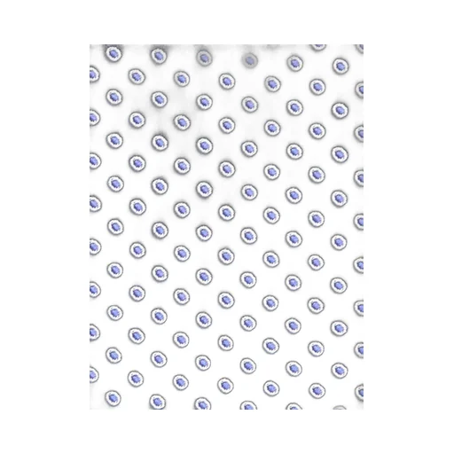 Giorgio Armani Polka Dot Tie