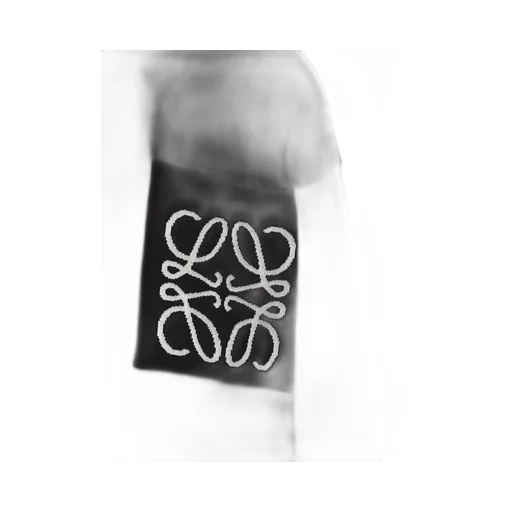 Loewe Logo-Intarsia Crewneck Jumper