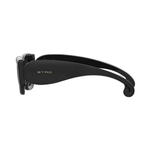 Etro Cat-Eye Sunglasses