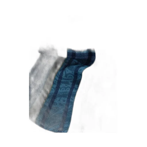 Etro Frayed Edge Checked Scarf