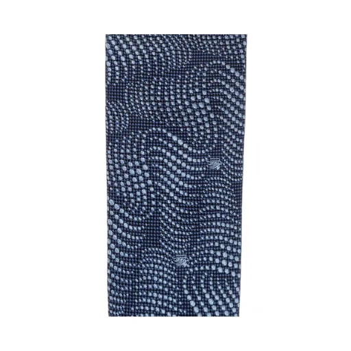 Etro Polka Dot Tie