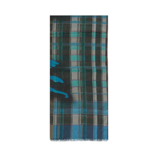 Etro Logo Printed Check Scarf