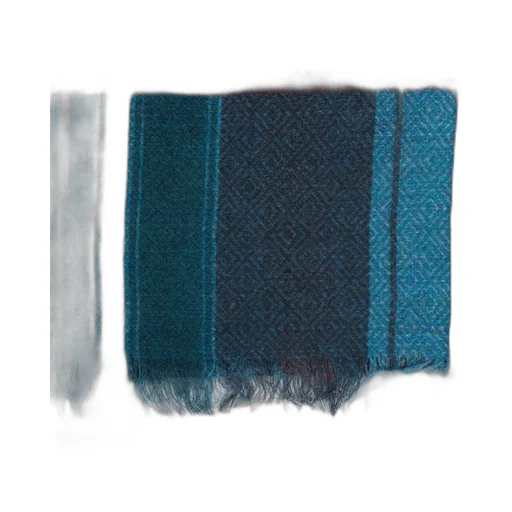 Etro Logo Printed Check Scarf