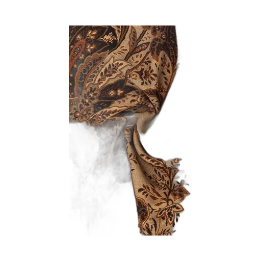 Etro Home Paisley Fringed Throw