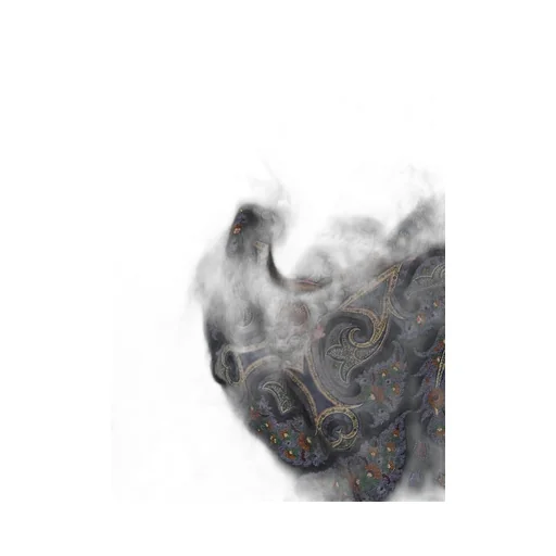 Etro Home Paisley Wool Scarf