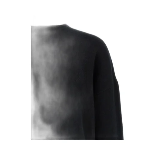 Extreme Cashmere N°355 Tes Crewneck Sweater