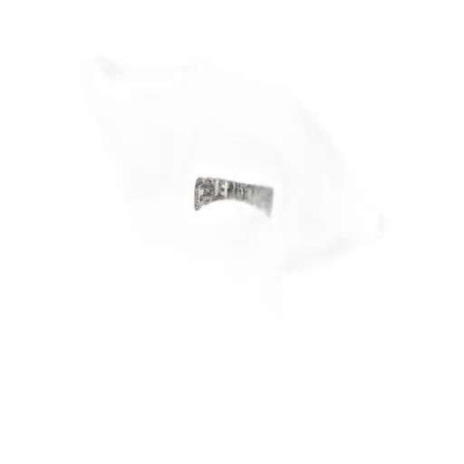 Cole Buxton Graphic Logo T-Shirt
