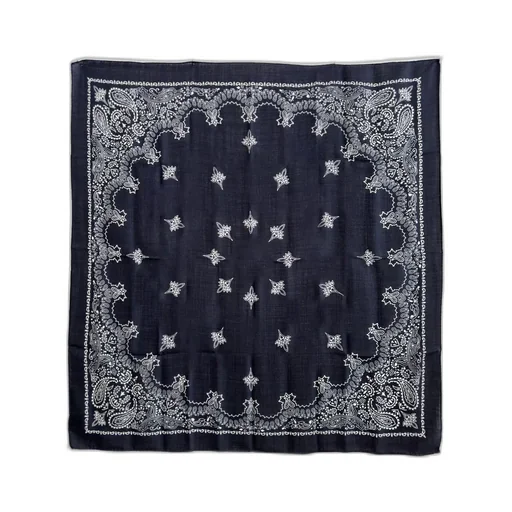 Destin Paisley Printed Scarf