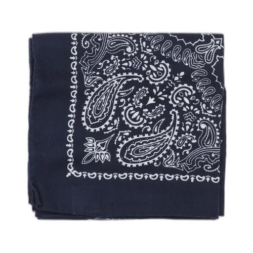 Destin Paisley Printed Scarf