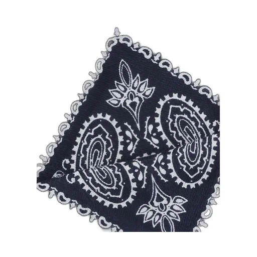 Destin Paisley Printed Scarf