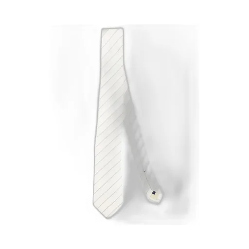 Errico Formicola Striped Tie