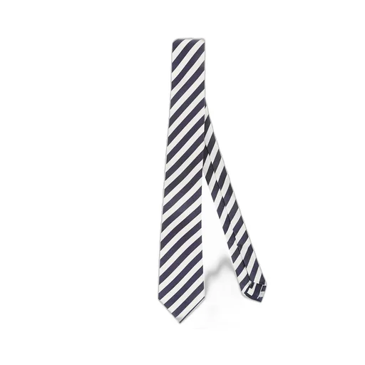 Errico Formicola Diagonal Stripe Tie