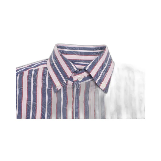 Etro Striped Button-Up Shirt