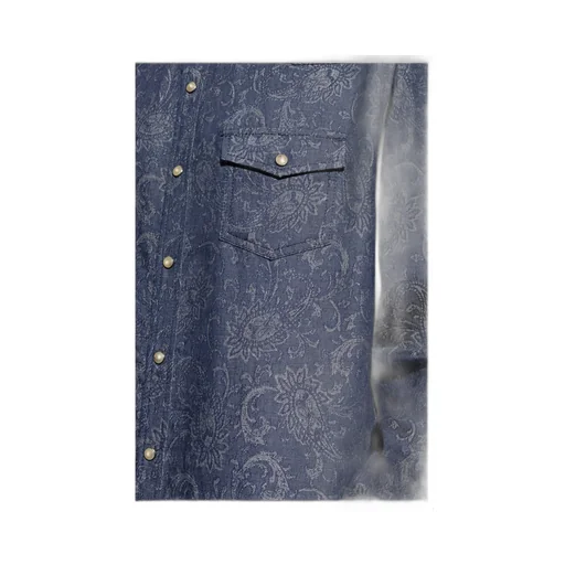 Etro Button-Up Denim Shirt