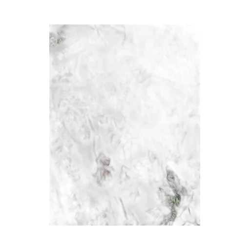 Zadig&Voltaire Floral Print Dress