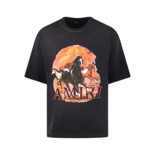 Amiri Plains Graphic Crewneck T-Shirt