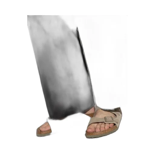 Birkenstock Arizona Buckled Sandals