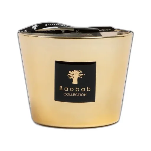 Baobab Collection Aurum Max 10 Candle