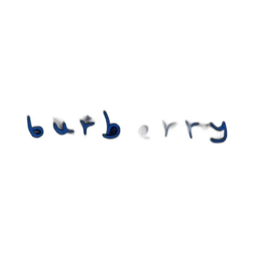 Burberry Logo Embroidered Fringed Happy Scarf