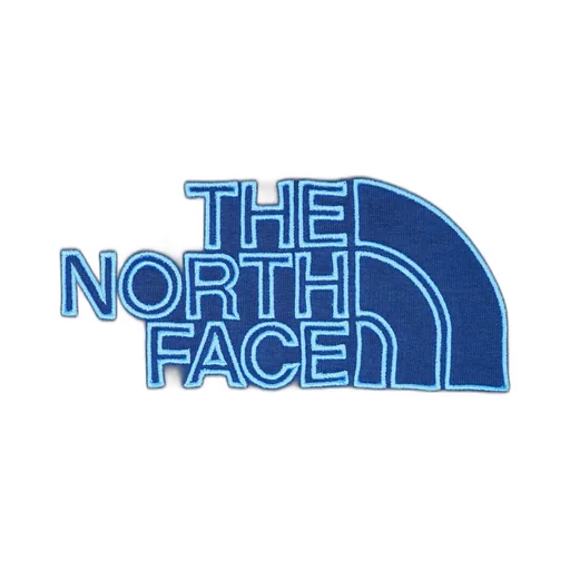 The North Face Kids Drew Peak Light Sweatshirt