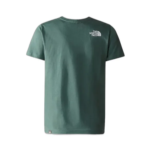 The North Face Kids Logo Graphic T-Shirt