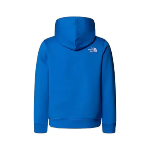 The North Face Kids Logo Hoodie Sweaters